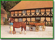 Enjoy life in a family farm in the country with horses and other animals!